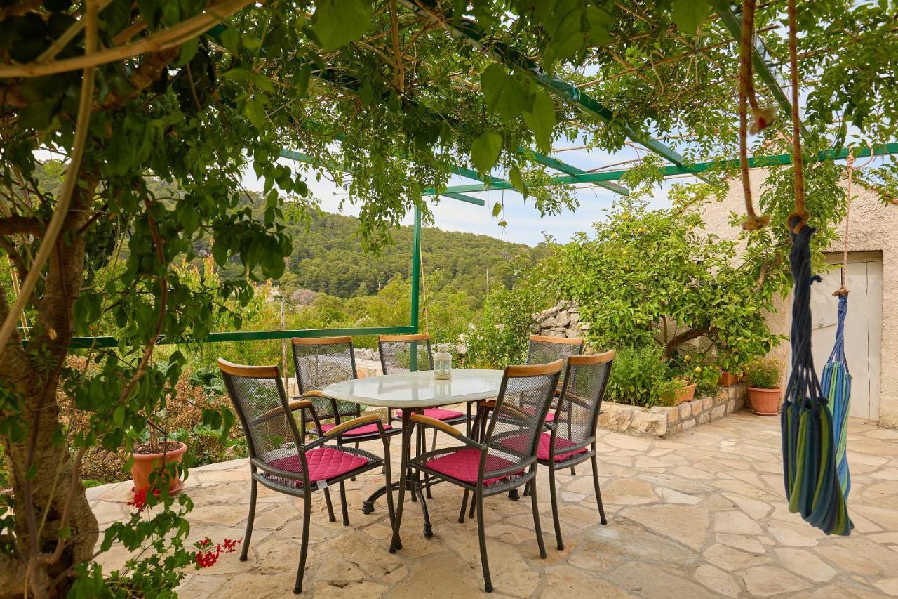 Agriculture & Holiday House Lasko 古维达里 外观 照片