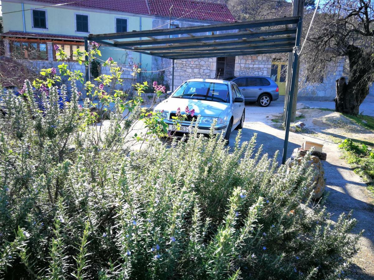 Agriculture & Holiday House Lasko 古维达里 外观 照片